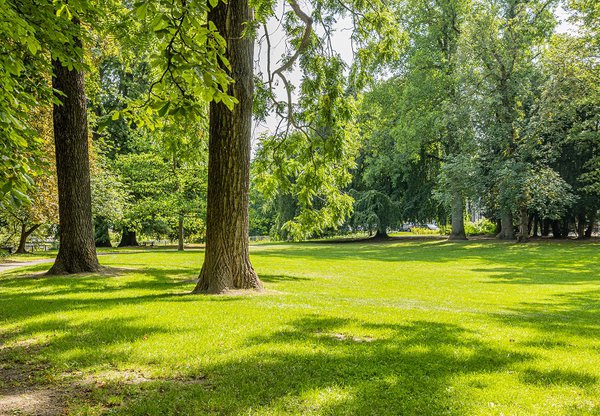 Maastricht-Stadspark-image-1.jpg